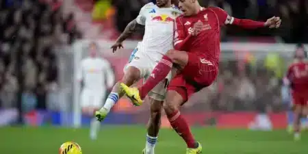 Algeriet vs DR Congo – spilforslag og knockout-preview for AFCON: 6/1/2026