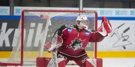 Rødovre Mighty Bulls vs Frederikshavn White Hawks – Spiltips & Odds – 24/2/2026